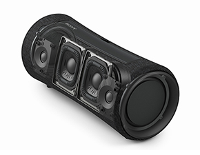 2Way Speaker System C[W iwSRS-XG300xj