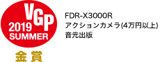 VGP2019 SUMMER  FDR-X3000R ANVJ(4~ȏ)o