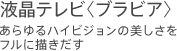 �t���e���r�@�u���r�A�@������n�C�r�W�����̔��������t���ɕ`������