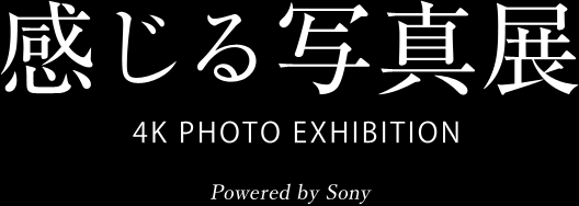 ʐ^W
4K PHOTO EXHIBITION
Powerd by Sony