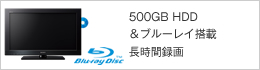 500GB HDD & u[C Ԙ^