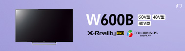 W600B