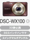 DSC-WX100