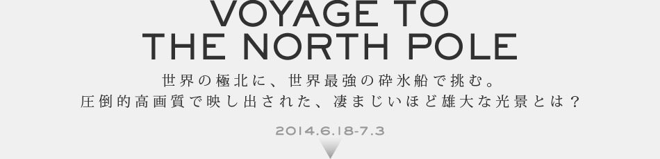 Voyage to the North Pole E̋ɖkɁAEŋ̍ӕXDŒށB |I掿ŉfoꂽA܂قǗYȌiƂ́H 2014.6.18-7.3