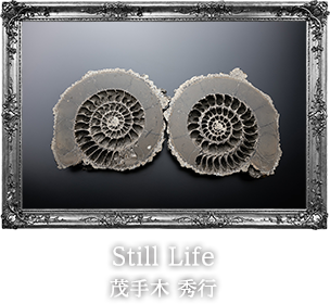 Ύ Gs -Still Life-