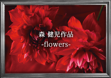 X i -flowers-