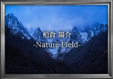 q z -Nature Field-