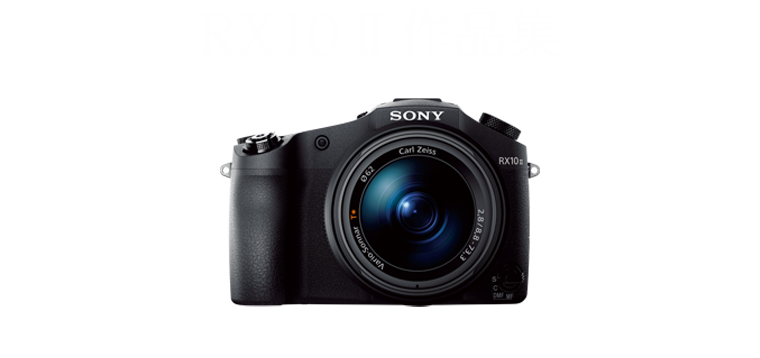 RX100 II iW
