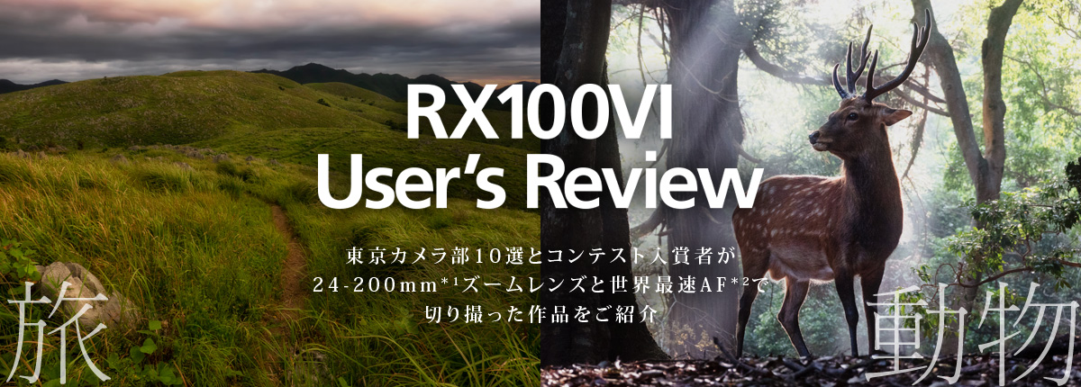 RX100 VI User's Review J10IƃReXg܎҂24-200mmY[YƐEőAFŁA؂BiЉ