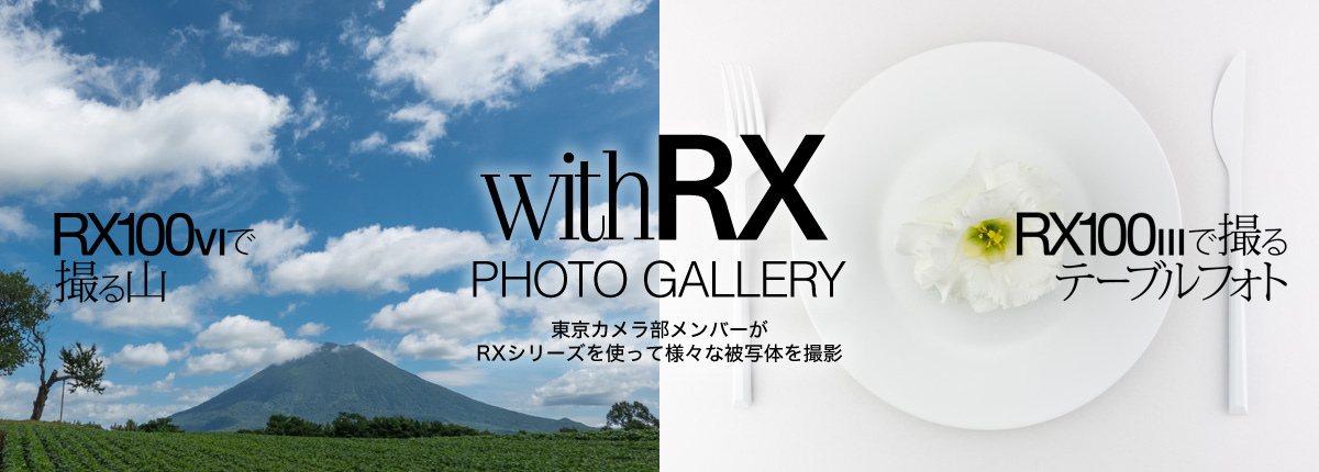 RX Cyter-shot ~ J10I Special Contents withRX PHOTO GALLERY Jo[RXV[YgėlXȔʑ̂Be