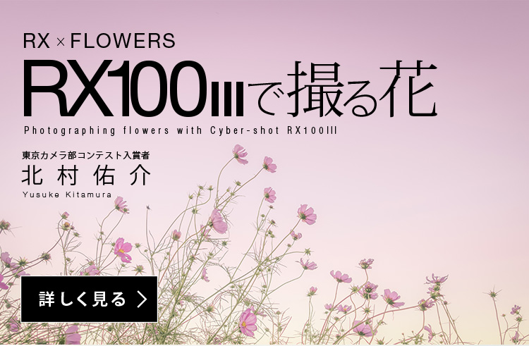 RX~FLOWERS RX100IIIŎBԁ@kC
