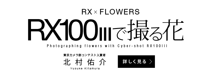 RX~FLOWERS RX100VŎBԁ@kC