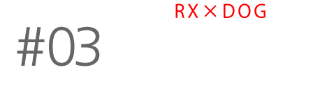 RX~DOG RX100VŎB鈤