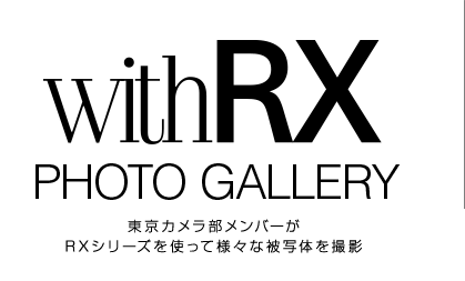 with RX PHOTO GALLERY Jo[RXV[YgėlXȔʑ̂Be