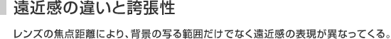 遠近感の違いと誇張性