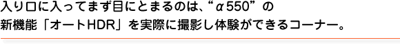 入り口に入ってまず目にとまるのは、“α550”の新機能「オートHDR」を実際に撮影し体験ができるコーナー。