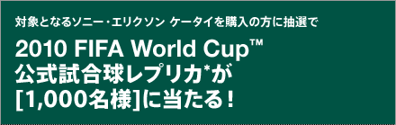 ΏۂƂȂ\j[EGN\ P[^Cw̕ɒI2010 FIFA World Cup™ vJ*[1,000l]ɓI