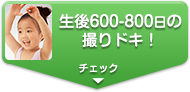 600-800̎BhLI