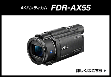 FDR-AX55