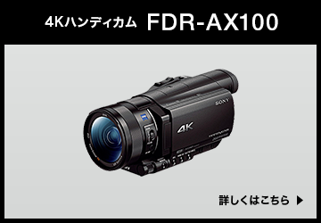 FDR-AX100