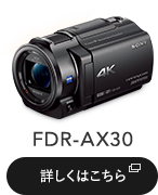 FDR-AX30