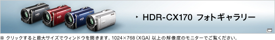 HDR-CX170 tHgM[
