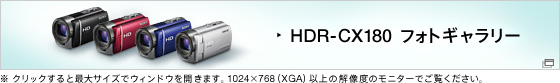 HDR-CX180 tHgM[