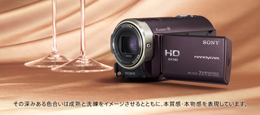 HDR-CX370V 特長 : 使いやすい快適操作 | デジタルビデオカメラ Handycam ハンディカム | ソニー