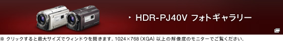 HDR-PJ40V tHgM[