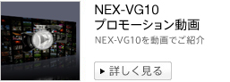 NEX-VG10 v[V
