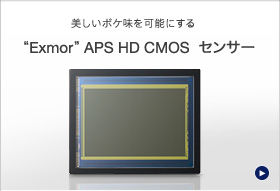 gExmorhAPS HD CMOS ZT[