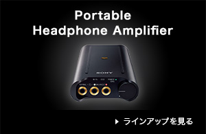 Portable Headphone Amplifier CAbv