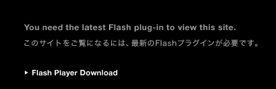 get_flash