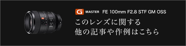 g master FE 100mm F2.8 STF GM OSS ̃YɊւ鑼̋L͂