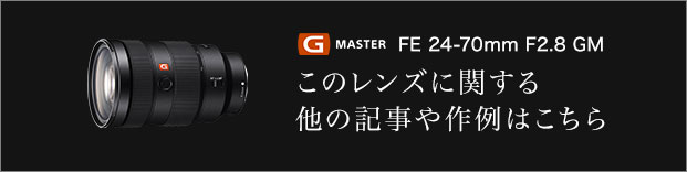 g master FE 24-70mm F2.8 GM ̃YɊւ鑼̋L͂