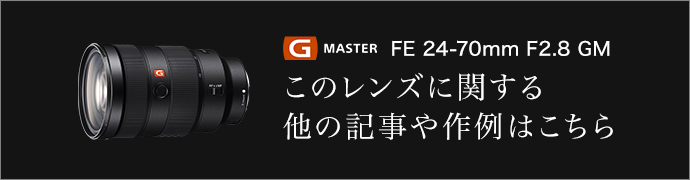 g master FE 24-70mm F2.8 GM ̃YɊւ鑼̋L͂