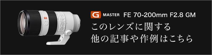 g master FE 70-200mm F2.8 GM OSS ̃YɊւ鑼̋L͂