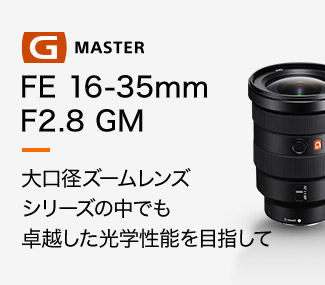 FE 16-35mm F2.8 GM aY[YV[Y̒łzw\ڎw