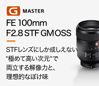 FE 100mm F2.8 STF GM OSS uSTFYɂȂɂ߂čŗ𑜗͂ƁAzIȂڂv