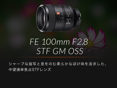 FE 100mm F2.8 STF GM OSS V[vȕ`ʂƑ̂ޏ_炩ȂڂǋA]Pœ_STFY