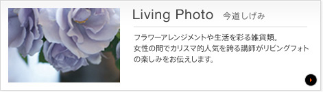 Living Photo 
t[AWg␶ʂGݗށB̊ԂŃJX}IlCւutrOtHg̊y݂`܂B