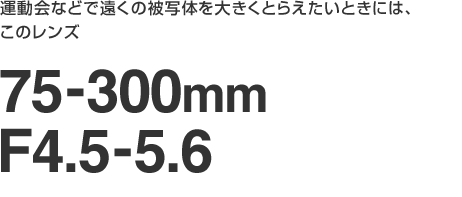 ^Ȃǂŉ̔ʑ̂傫Ƃ炦Ƃɂ́ÃY 75-300mm F4.5-5.6