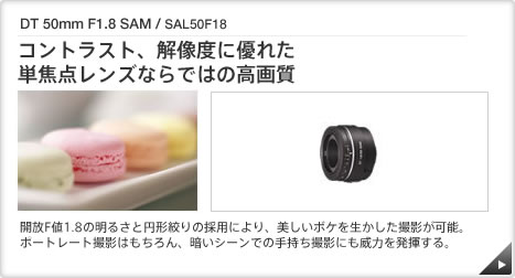 DT 50mm F1.8 SAM / SAL50F18 b RgXgA𑜓xɗDꂽPœ_YȂł͂̍掿 b JFl1.8̖邳Ɖ~`i̗̍pɂA{P𐶂Be\B|[g[gBe͂AÂV[ł̎莝BeɂЗ͂𔭊B