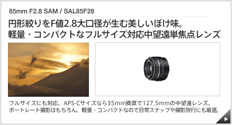 85mm F2.8 SAM / SAL85F28  b ~`iFl2.8aޔڂB
yʁERpNgȃtTCYΉ]Pœ_Y b tTCYɂΉBAPS-CTCYȂ35mmZ127.5mm̒]YB|[g[gBe͂AyʁERpNgȂ̂œXibvBesɂœKB