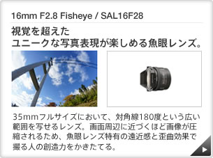 16mm F2.8 Fisheye / SAL16F28 b o𒴂j[NȎʐ^\y߂鋛჌YB b 35mmtTCYɂāAΊp180xƂL͈͂ʂ郌YBʎӂɋ߂Âقǉ摜k邽߁A჌YL̉ߊƘcȌʂŎBl̑n͂ĂB