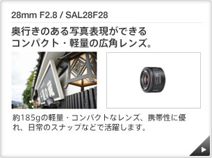 28mm F2.8 / SAL28F28 b ŝʐ^\łRpNgEyʂ̍LpYB b 185ǧyʁERpNgȃYAgѐɗDÃXibvȂǂŊ􂵂܂B