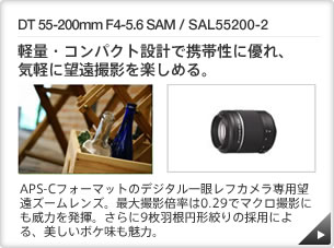 DT 55-200mm F4-5.6 SAM / SAL55200-2 b yʁERpNg݌vŌgѐɗDACyɖ]Bey߂B b APS-CtH[}bg̃fW^჌tJp]Y[YBőBe{0.29Ń}NBeɂЗ͂𔭊B9H~`i̗̍pɂA{ṔB