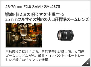 28-75mm F2.8 SAM / SAL2875 b Fl2.8̖邳35mmtTCYΉ̑aWY[Y b ~`i̗̍pɂARŔڂBaY[YȂAyʁERpNgŃ|[g[gȂǕLWŊB