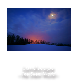 Landscape ` The Sinet World `