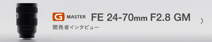 G MASTER FE 24-70mm F2.8 GM (SEL2470GM) J҃C^r[